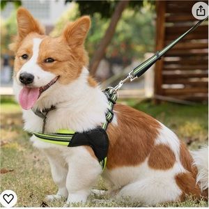 NWOT dog harness only